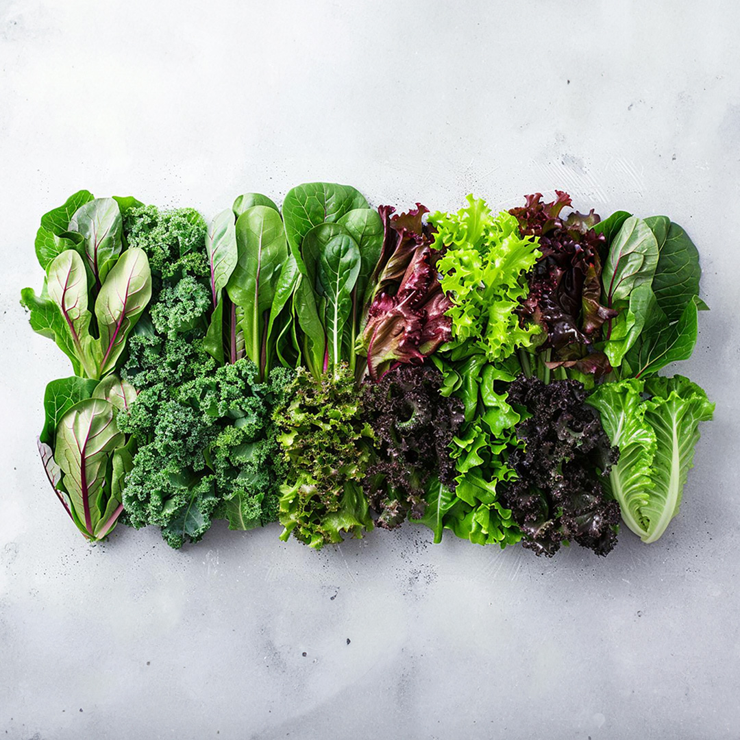 Lettuce mix ( Red lettuce + romaine + green curly + kale + rocket leaves)