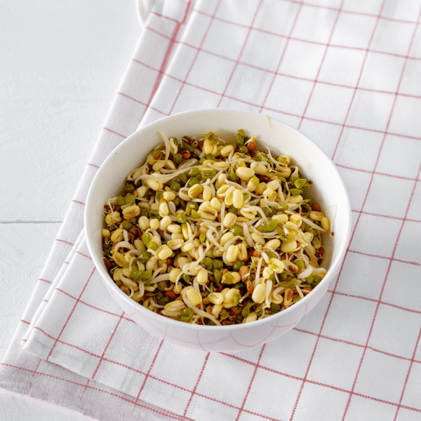 Mix sprouts