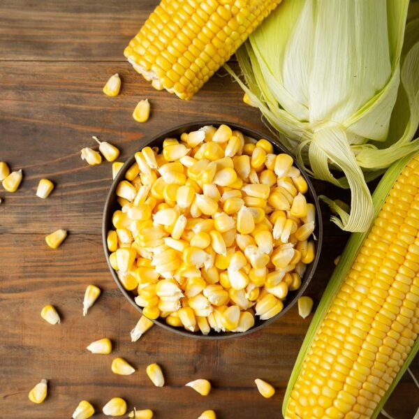 Sweet Corn
